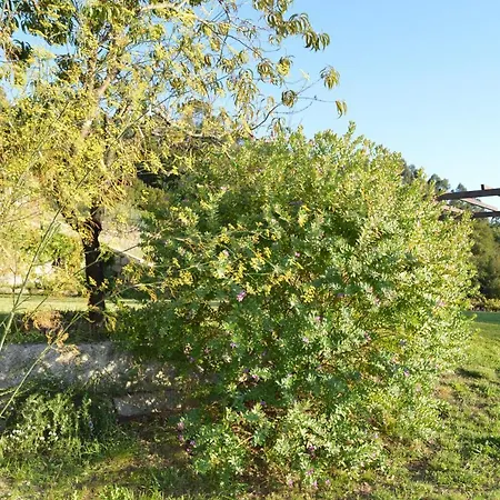 Airinos De מונדאריז